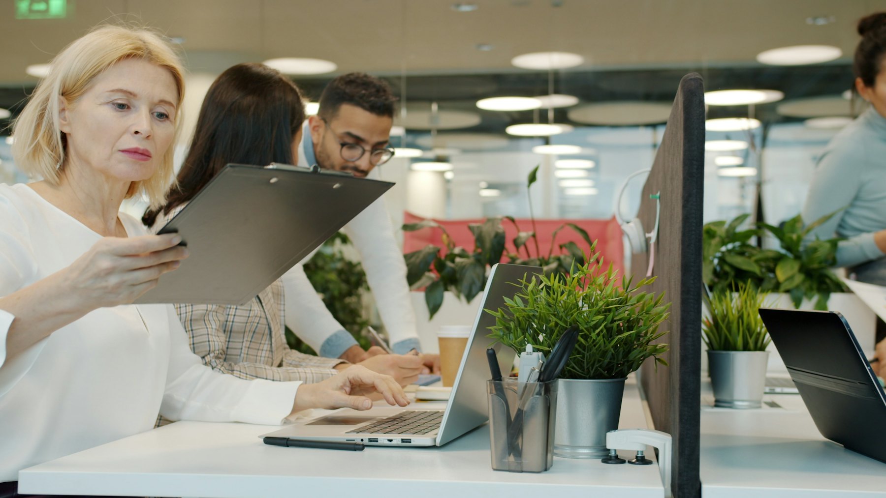 Colleagues working together on laptops in a bright office